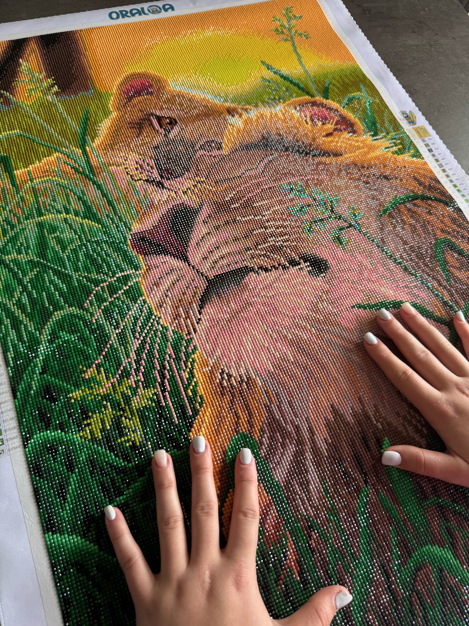 Diamond painting : le bonheur est-il dans chaque strass ou dans l’œuvre finie ?