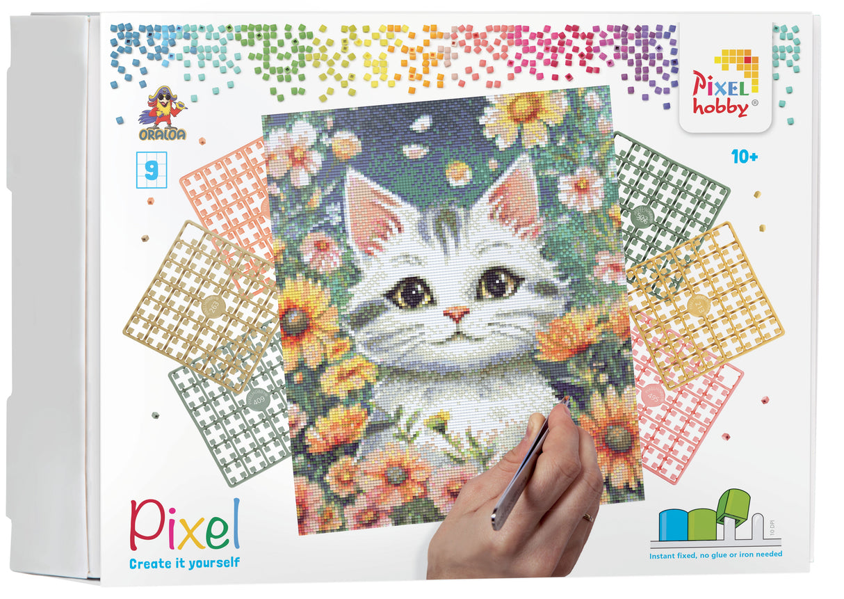 Pixel Hobby Oraloa -  A Glance