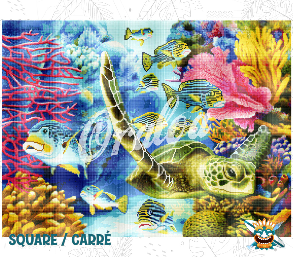 Cañón del Coral