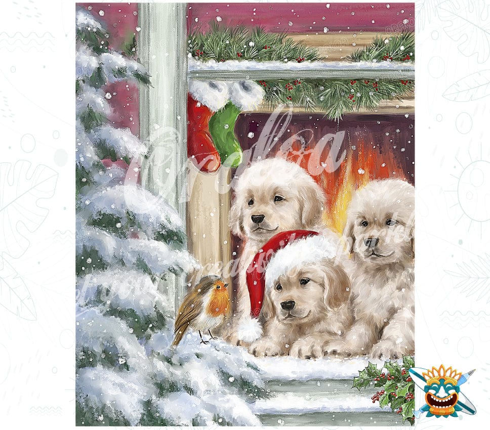 Oraloa Dogs at Window - Diamond Painting kit completo de arte terapia