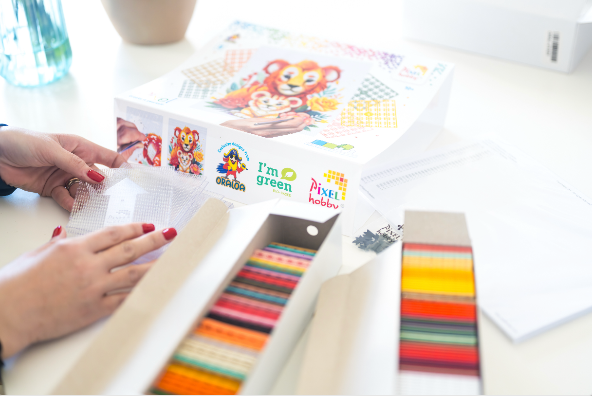 Le Pixel Hobby : l’art créatif qui fait sensation