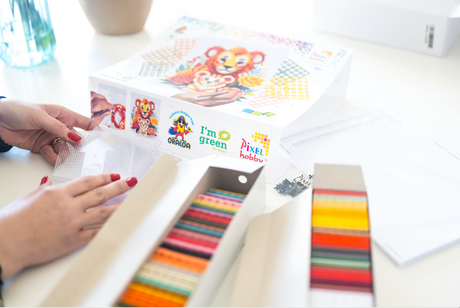 Le Pixel Hobby : l’art créatif qui fait sensation