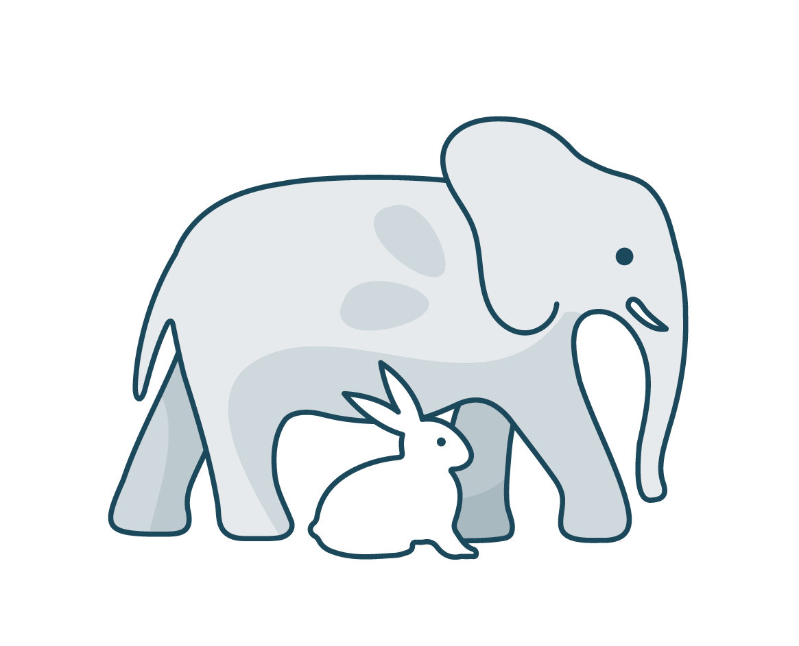catégorie animaux