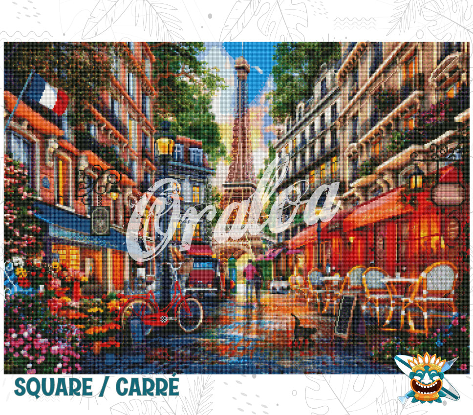 Paris Street