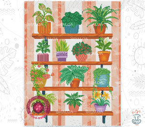 Green Corner