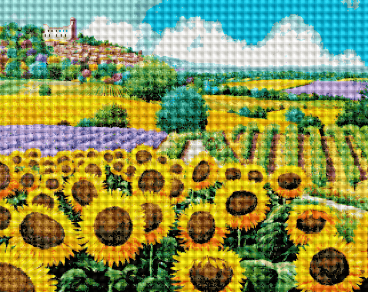Weinberge und Sonnenblumen
