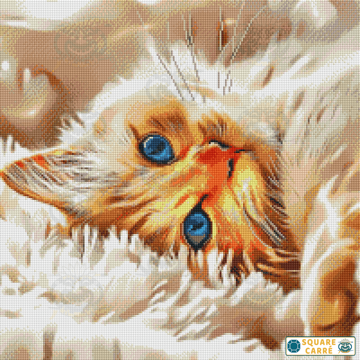 Sweet Cat