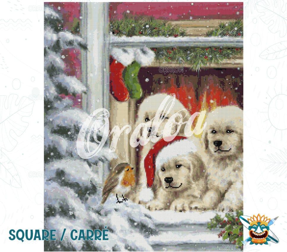 Dogs at Window