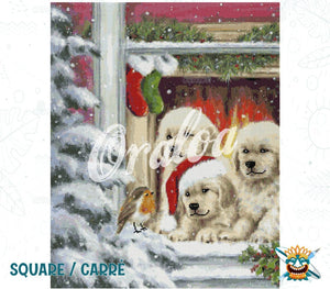 Dogs at Window
