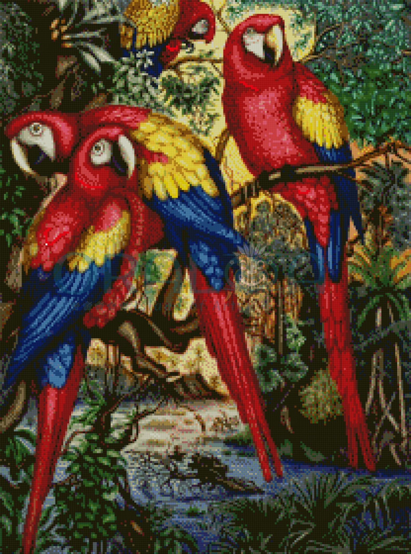 Parrots family Oraloa.