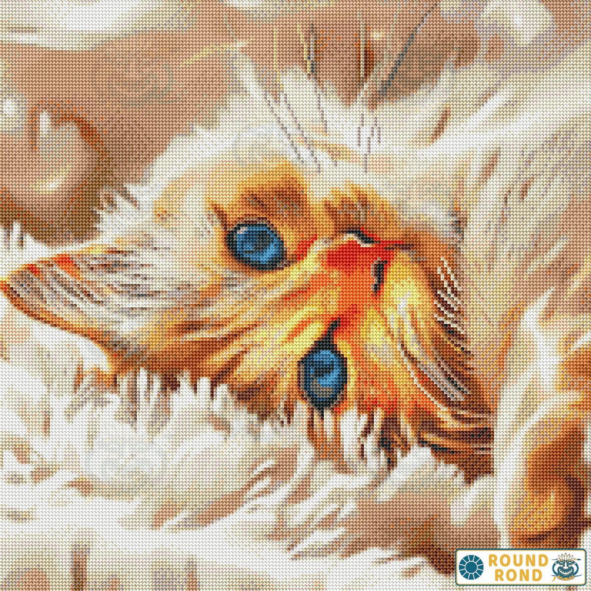 Sweet Cat